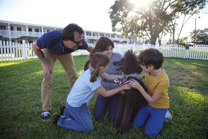 Pet-friendly