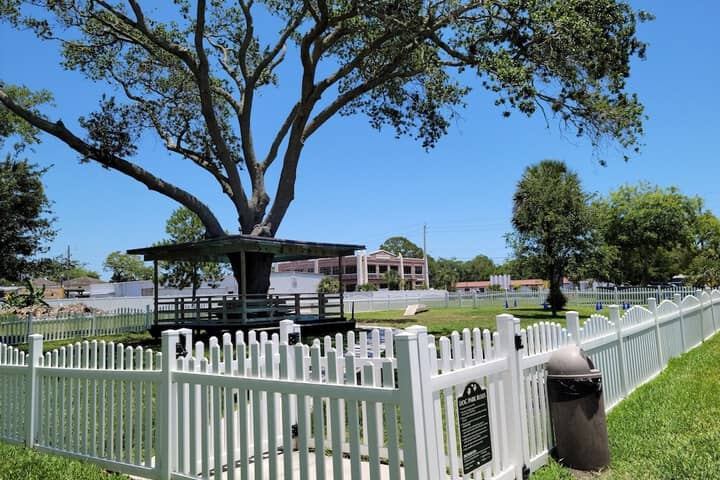 Pet-friendly amenities